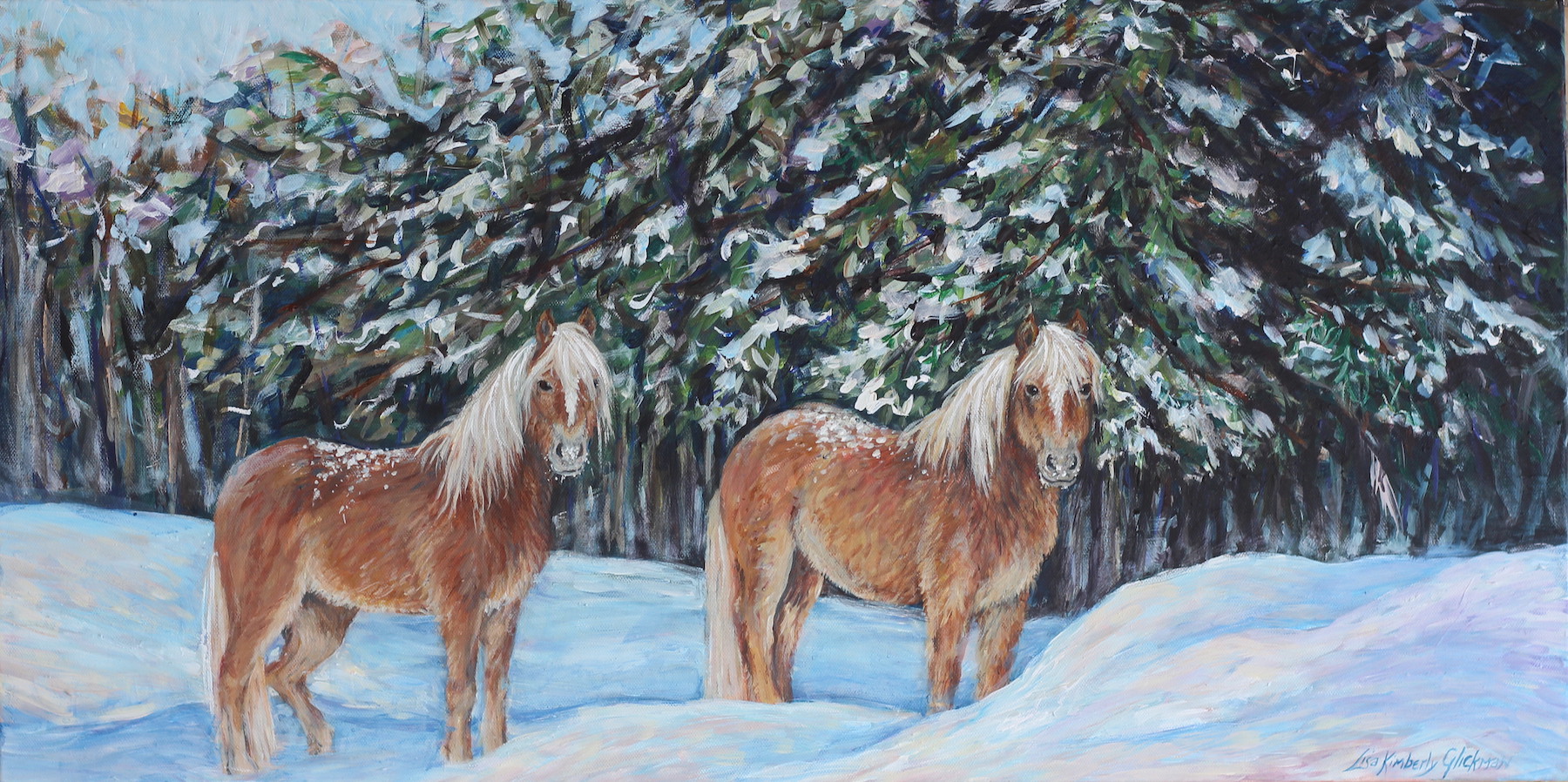 Haflingers horses in snow