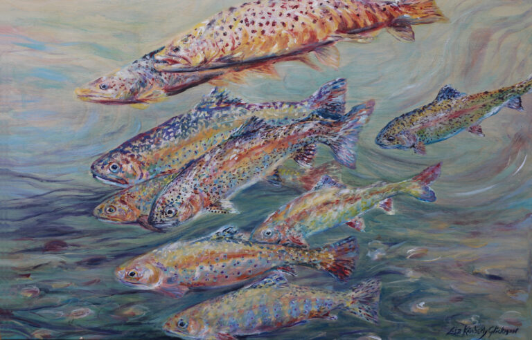 Rainbow trout