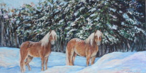 Haflingers in La Minerve