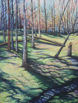 Mossy Spring Les Forestieres